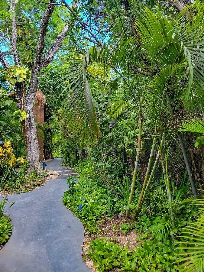Maui Hostels Tulum Mexiko