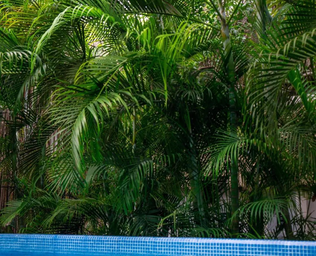 Maui Hostels Tulum
